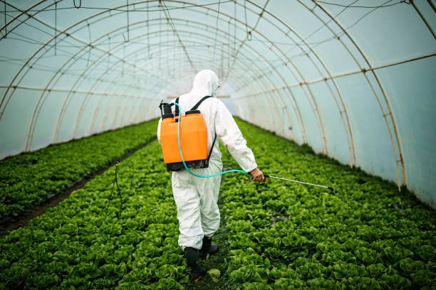 Best Pest Control for Homes  in Erie, CO
