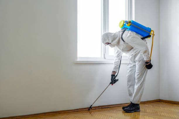 Reliable Erie, CO Pest Control Solutions