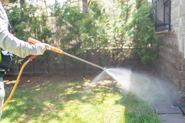 Best Best Pest Control Companies  in Erie, CO
